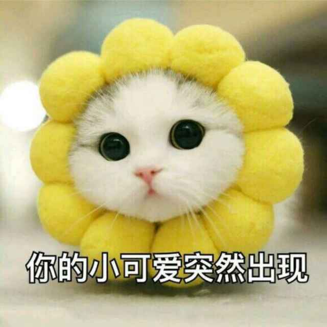暮暮暮暮暮暮暮暮暮