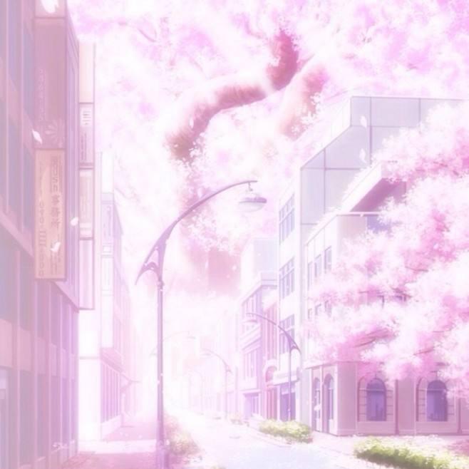 815911