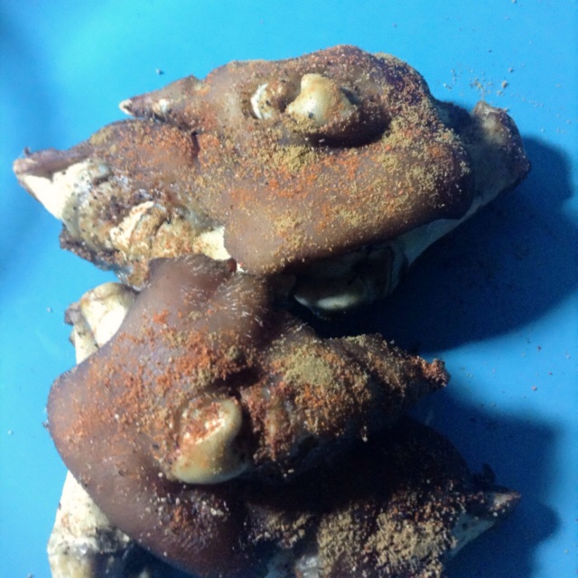 香辣烤猪蹄，附详细的卤水方法