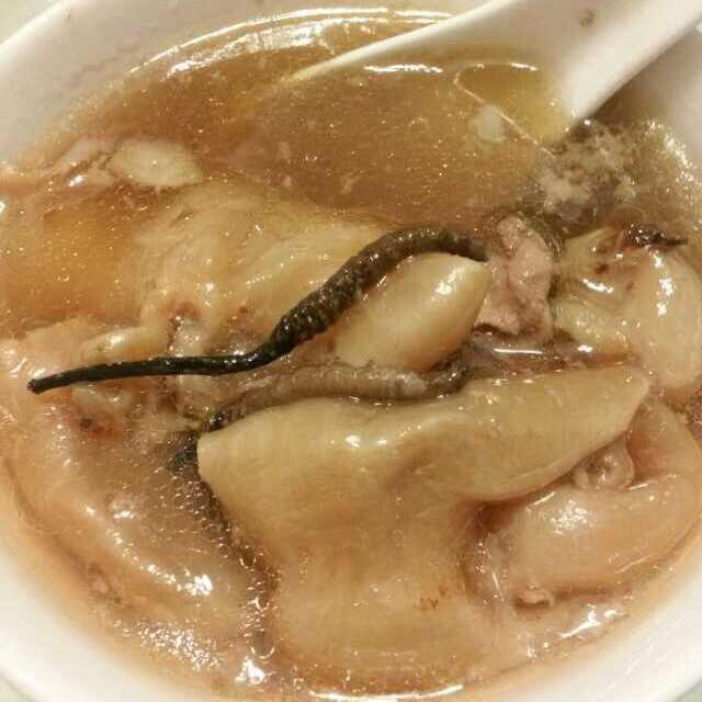 ✨花胶乌鸡汤✨