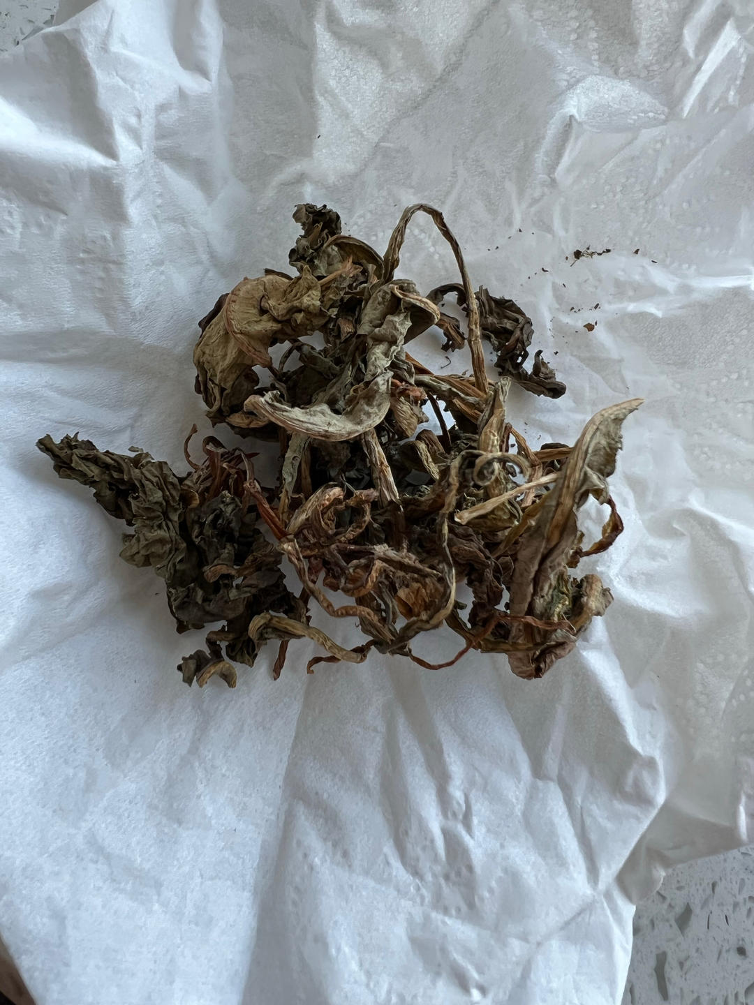 半熟芝士【烤箱食谱12月】