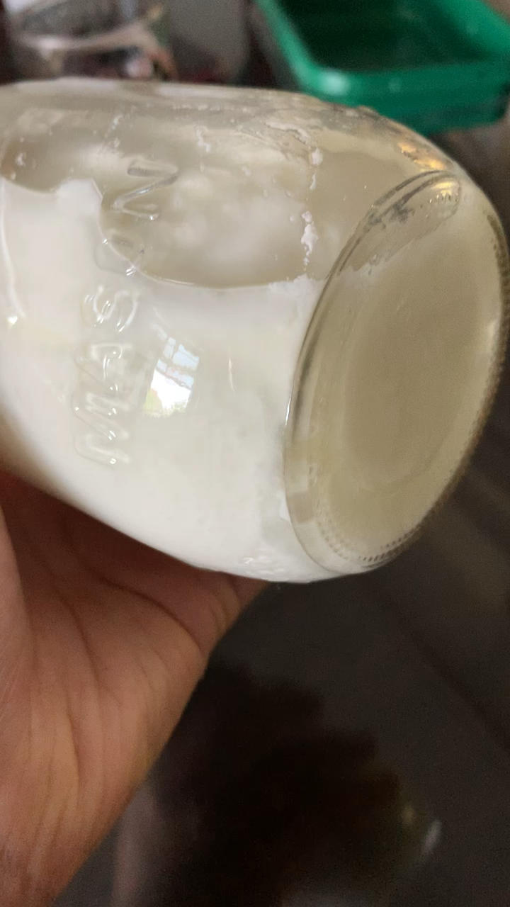 梅森杯酸奶/酸奶油(保温桶版)