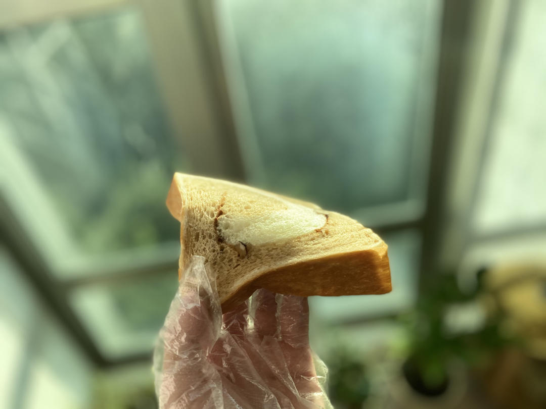 雙色牛奶核桃吐司