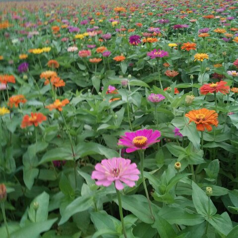 午餐•2016年9月5日