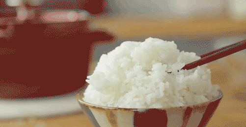 香喷喷的米饭，不配菜都很赞