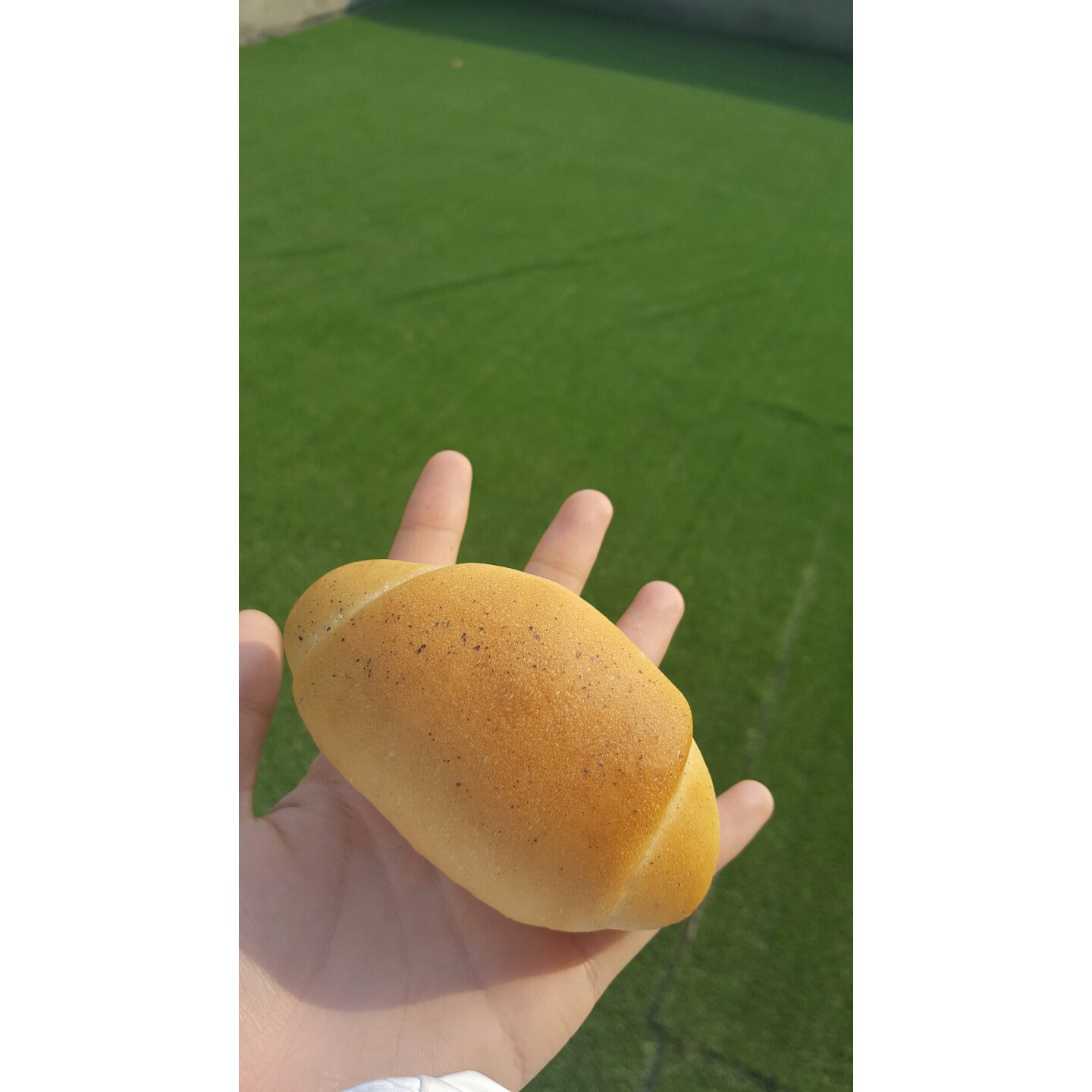 经典黄油卷