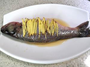 葱油鲈鱼（零失败神器：李锦记蒸鱼豉油）的做法 步骤1