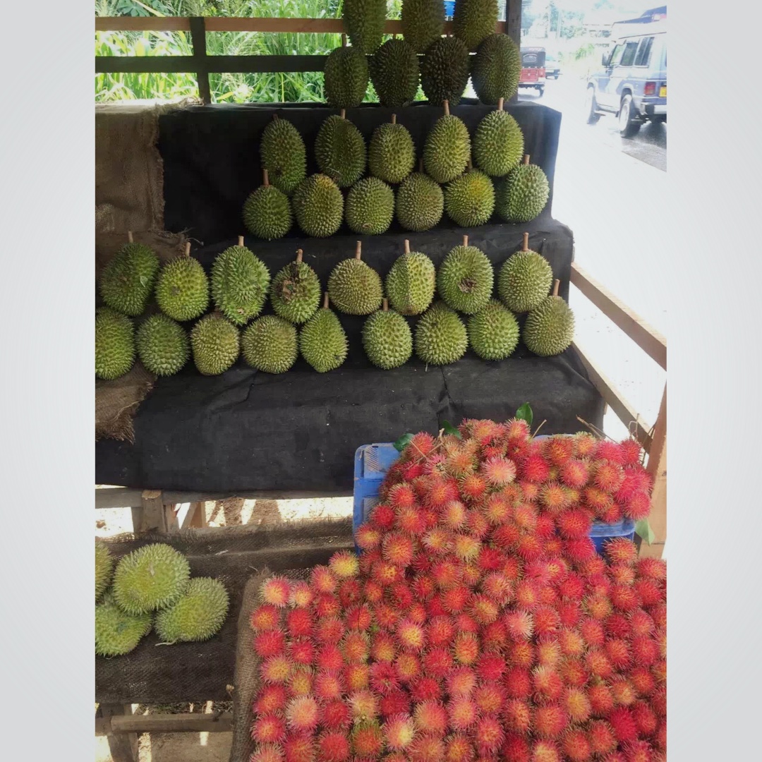 我在斯里兰卡，你在哪？