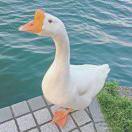 手机用户6384_wxo7
