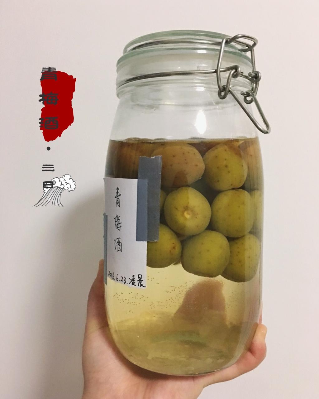 【青梅酒】梅子的沉醉时光（已填坑）