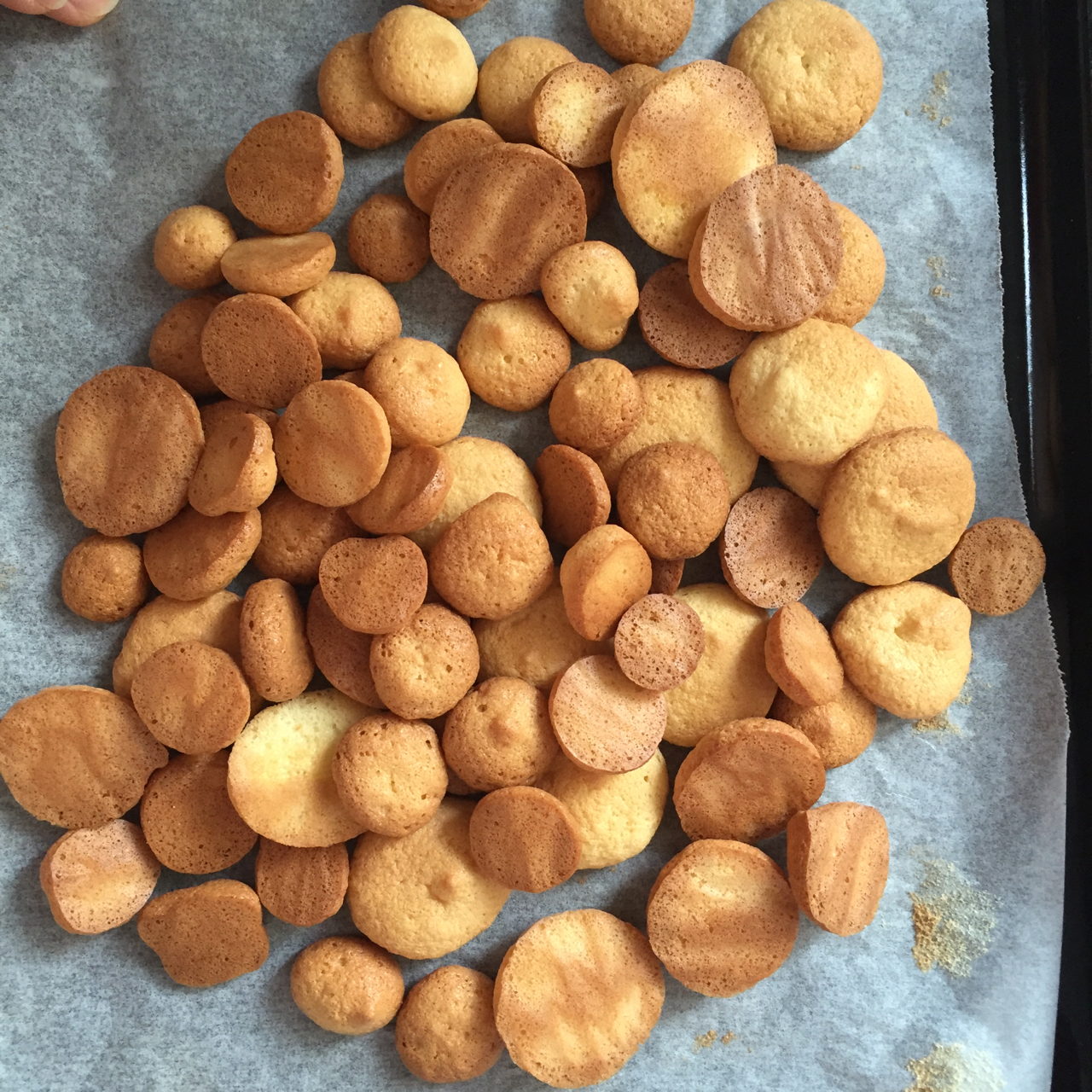 酥脆蛋香小饼干