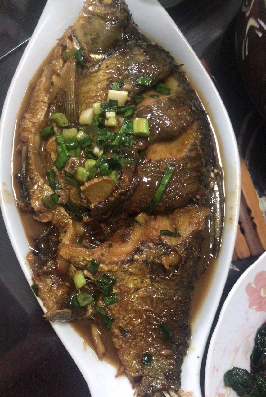 meddy做的红烧鳊鱼