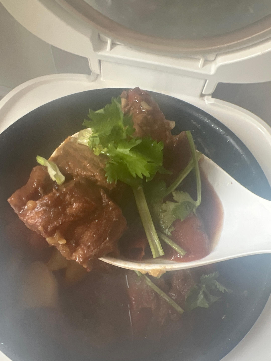 胡萝卜炖牛腩
