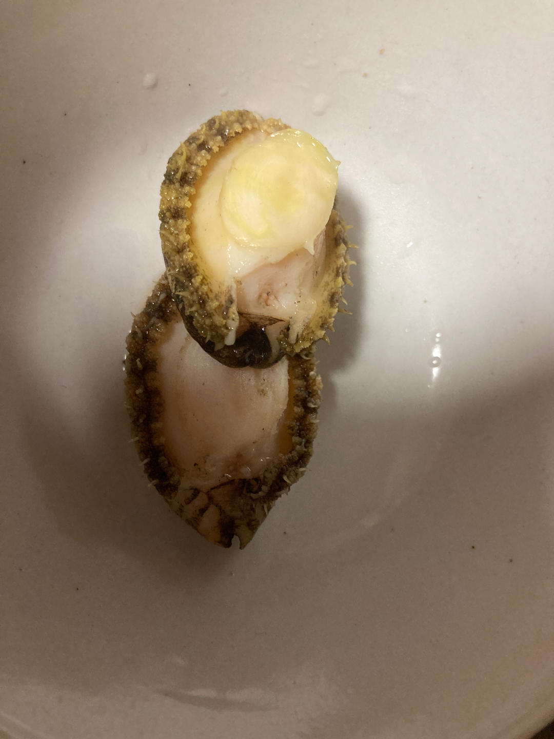 洗鲍鱼
