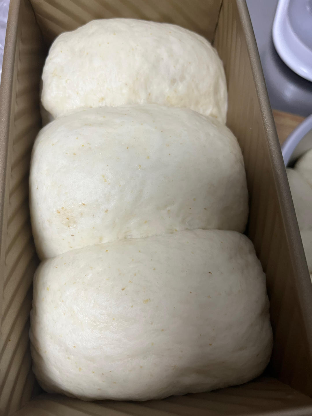 鲁邦种老面全麦吐司