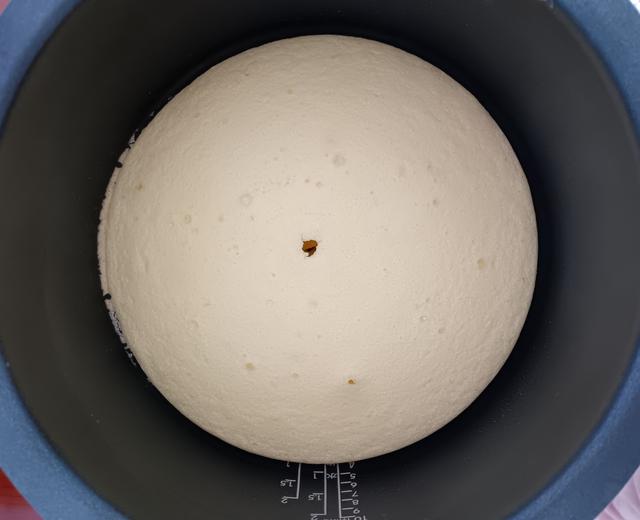 完美蛋糕胚 (九阳电饭煲版本,不塌哦)的做法