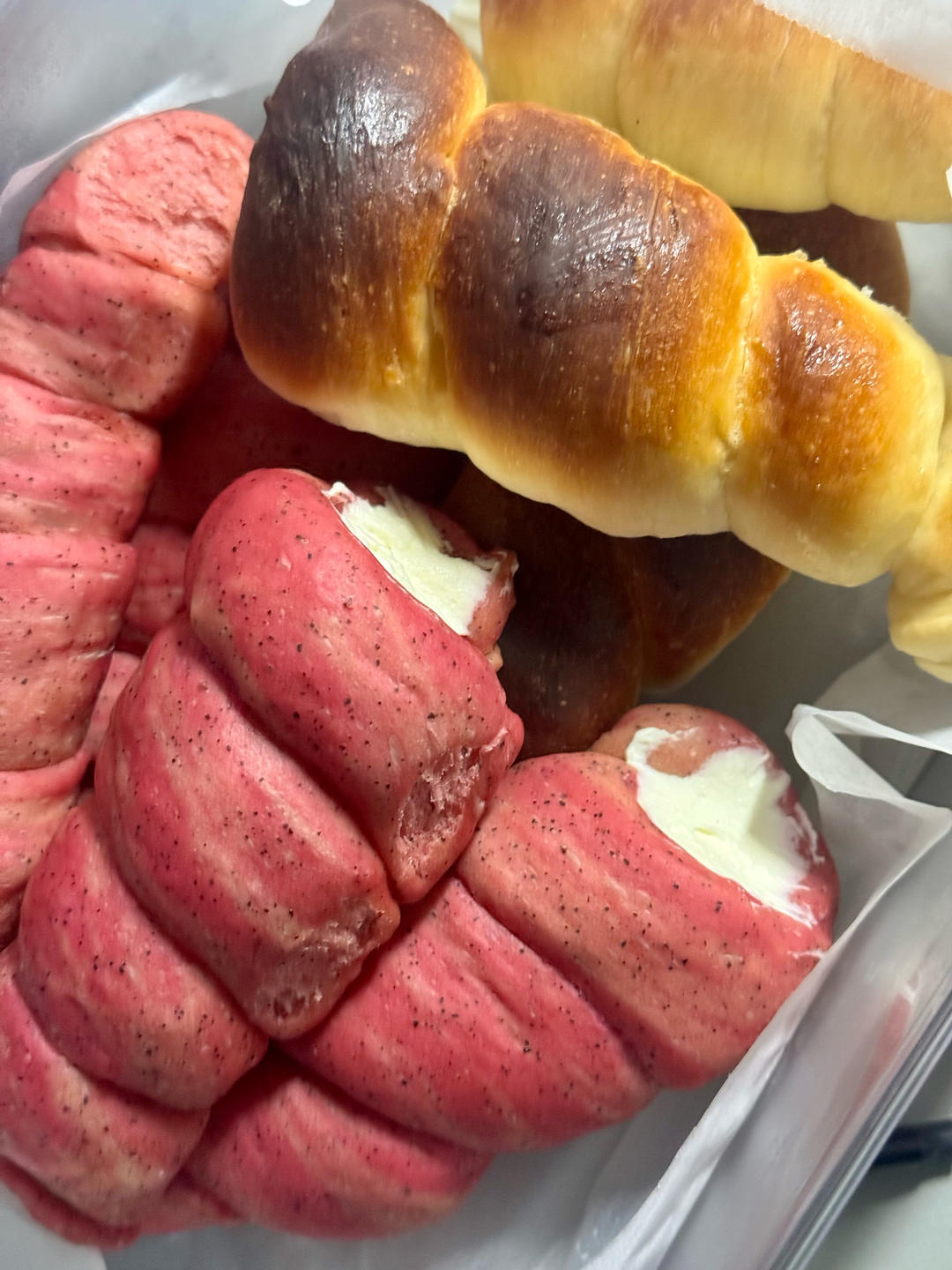 火龙果海螺面包卷（一次发酵）