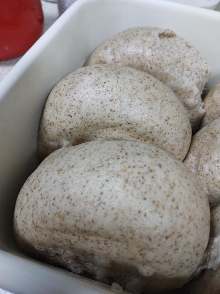 全麦馒头（一次发酵）