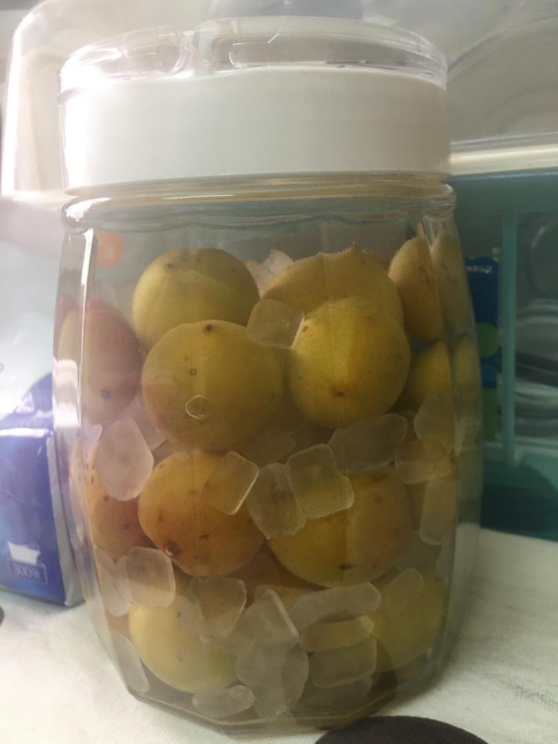 【青梅酒】梅子的沉醉时光（已填坑）