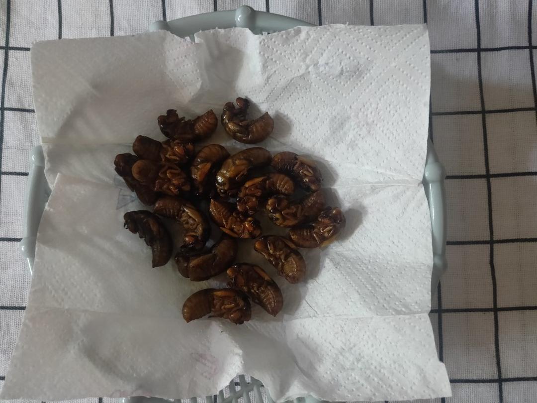 油炸金蝉