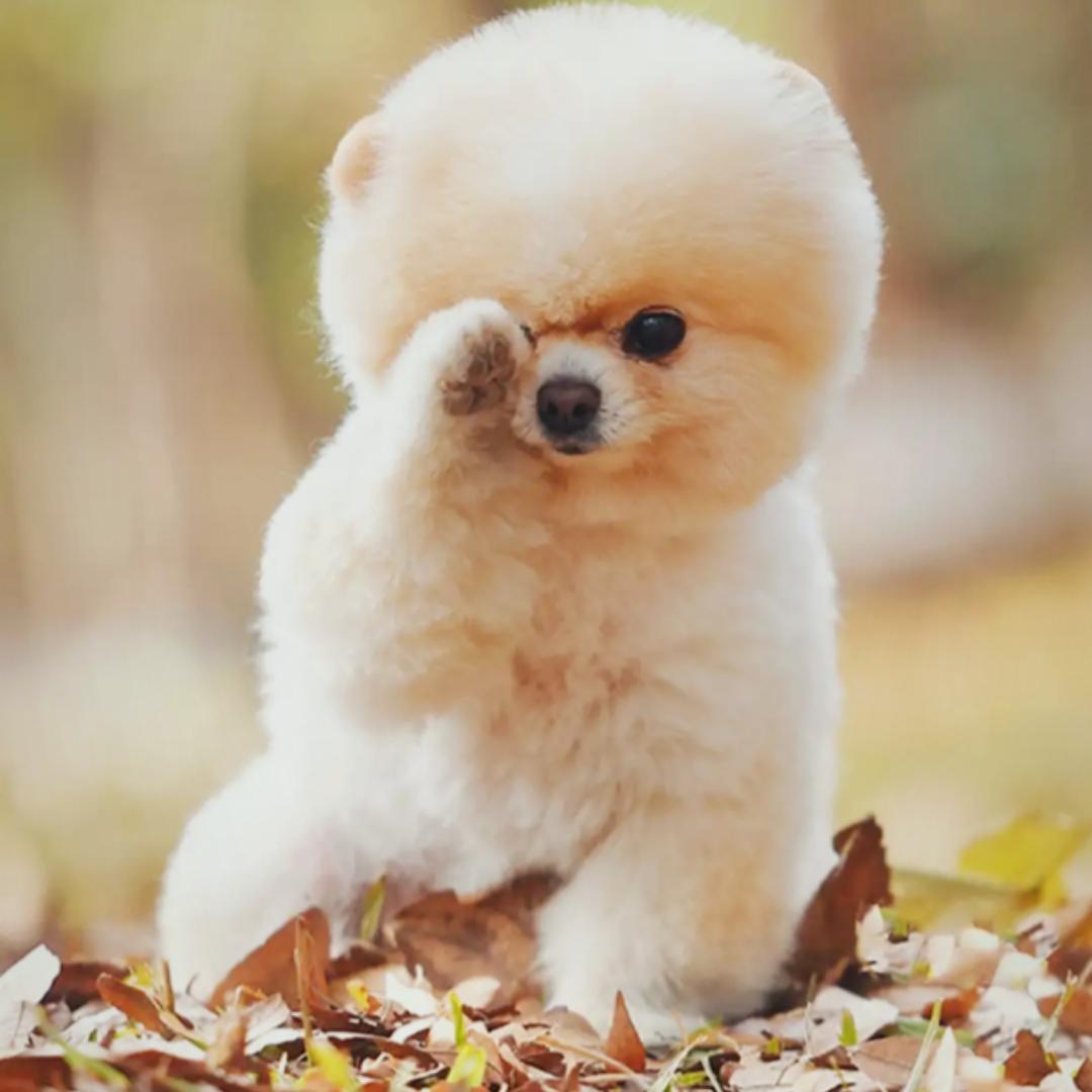 风在发丝间流动