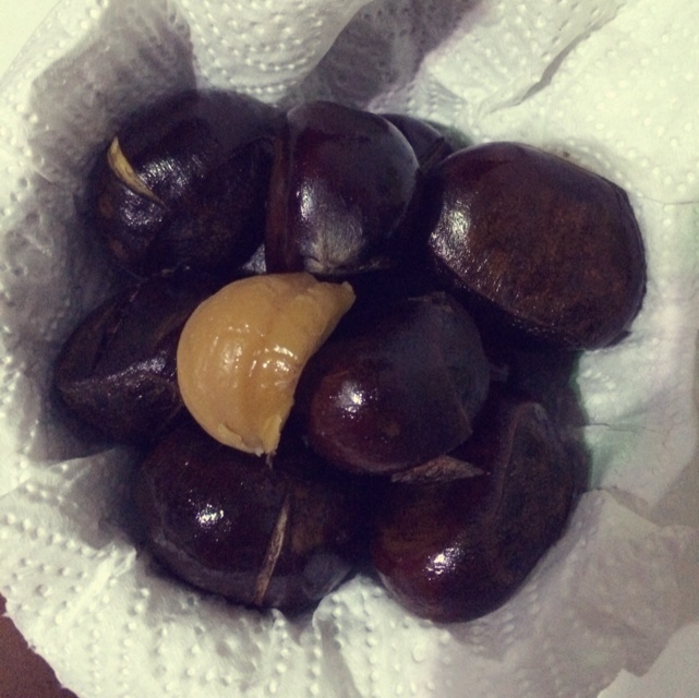 慵懒美丽的栗子