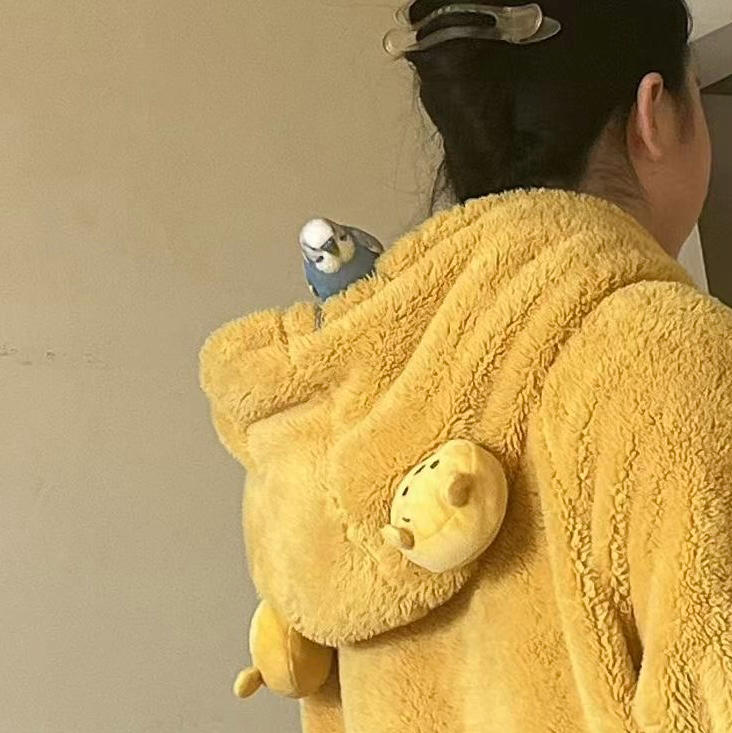 四寸空气炸锅戚风