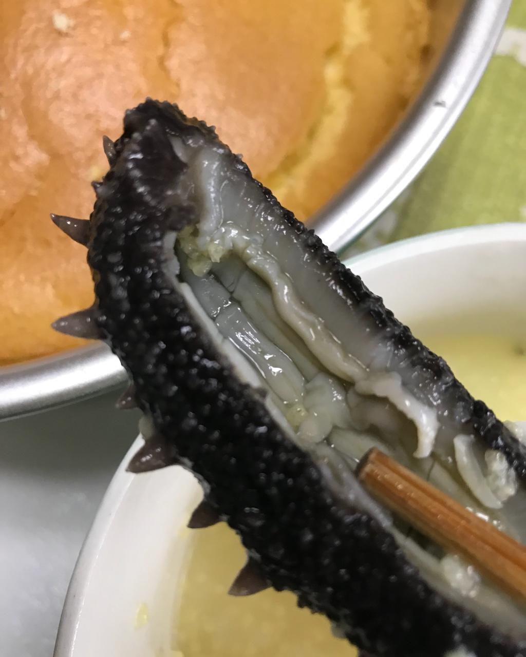 野生海参攻略