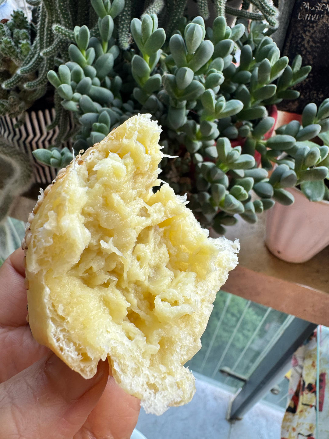 又香又软又拉丝，咬一口奶香十足！超治愈的淡奶油波兰种小餐包