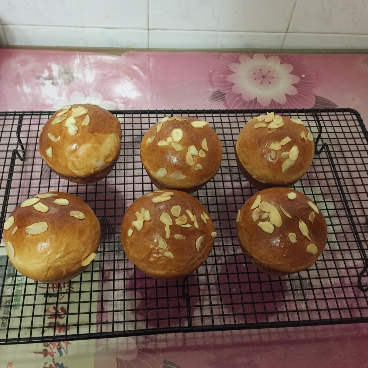 鲜奶油小餐包（一次发酵）