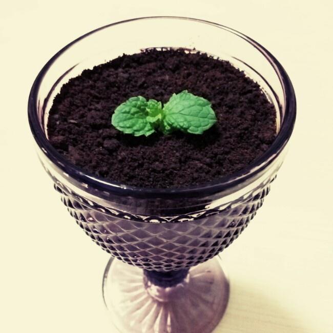 盆栽酸奶~超简单