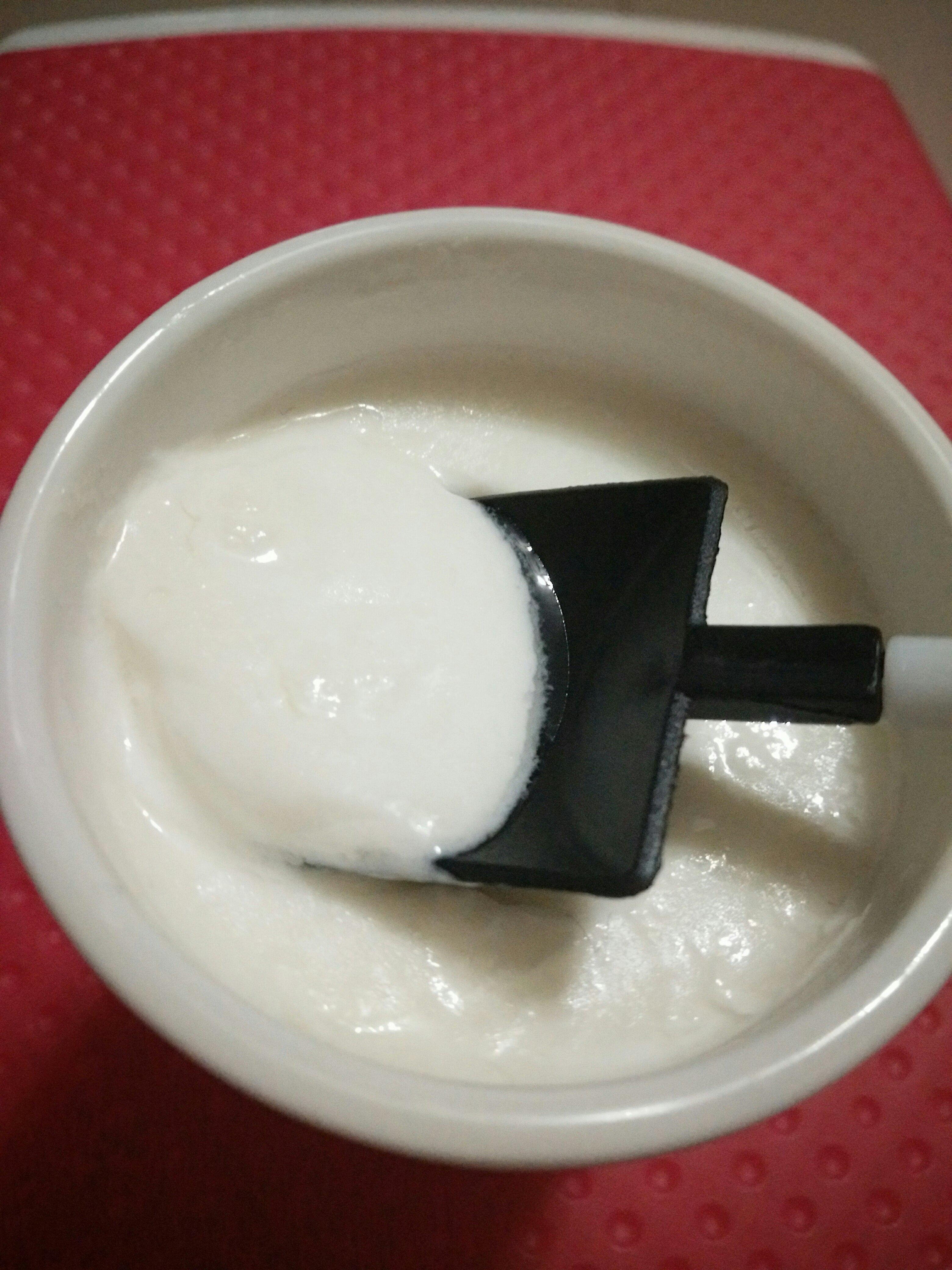 自制酸奶——超详细制作经验篇