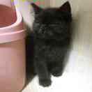 煮个饭咋这么难