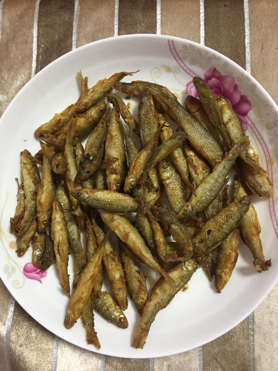 太难忘的小炸鱼