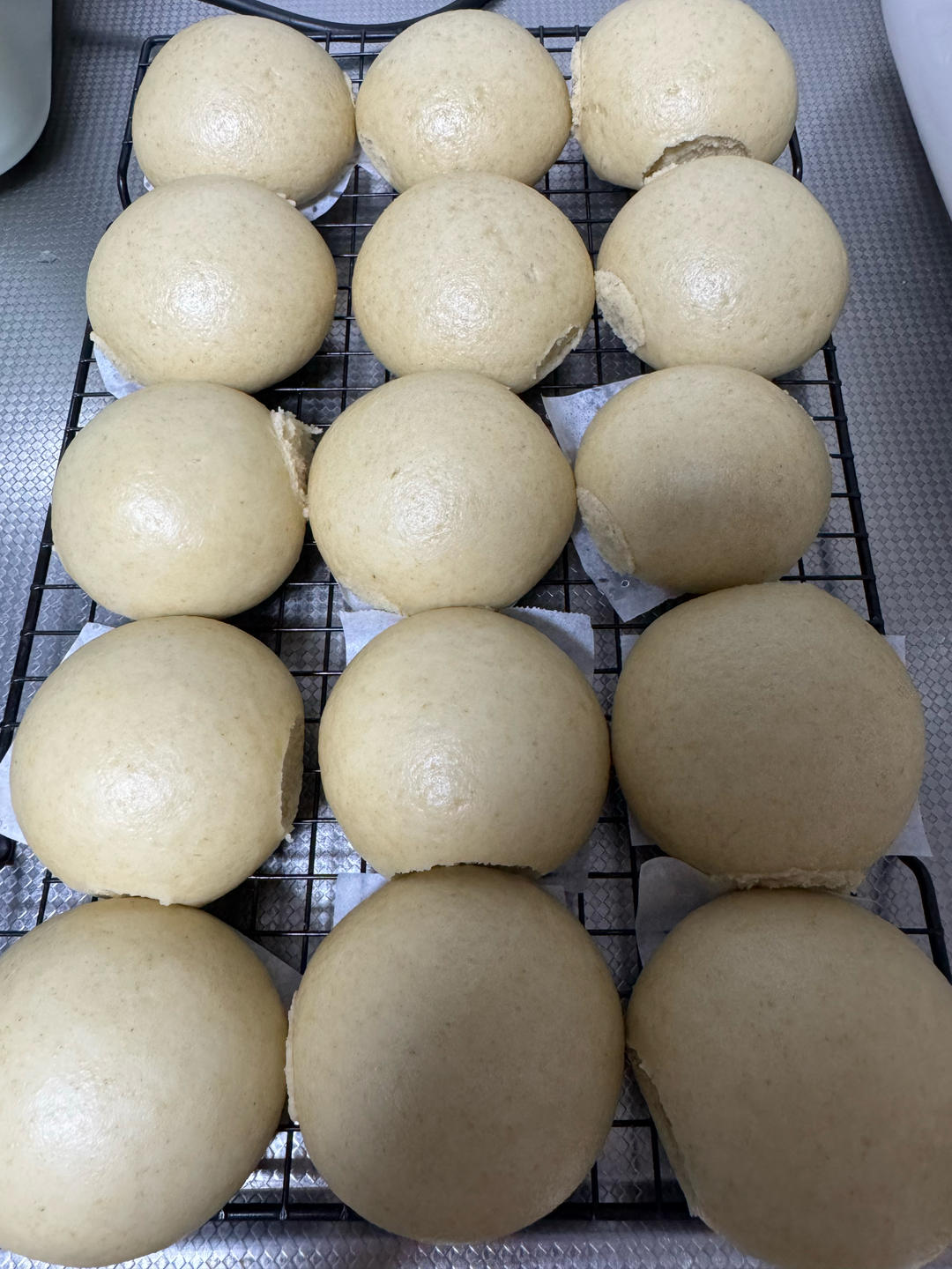 全麦馒头（一次发酵）