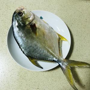 红烧金鲳鱼的做法 步骤1