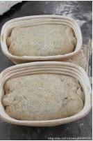 欧式核桃提子面包的做法 步骤6