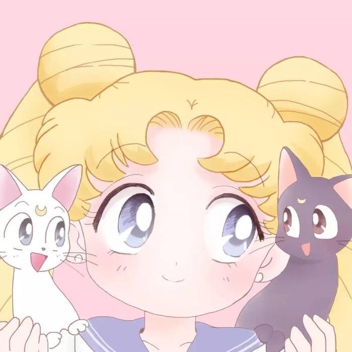 美少女与月亮猫