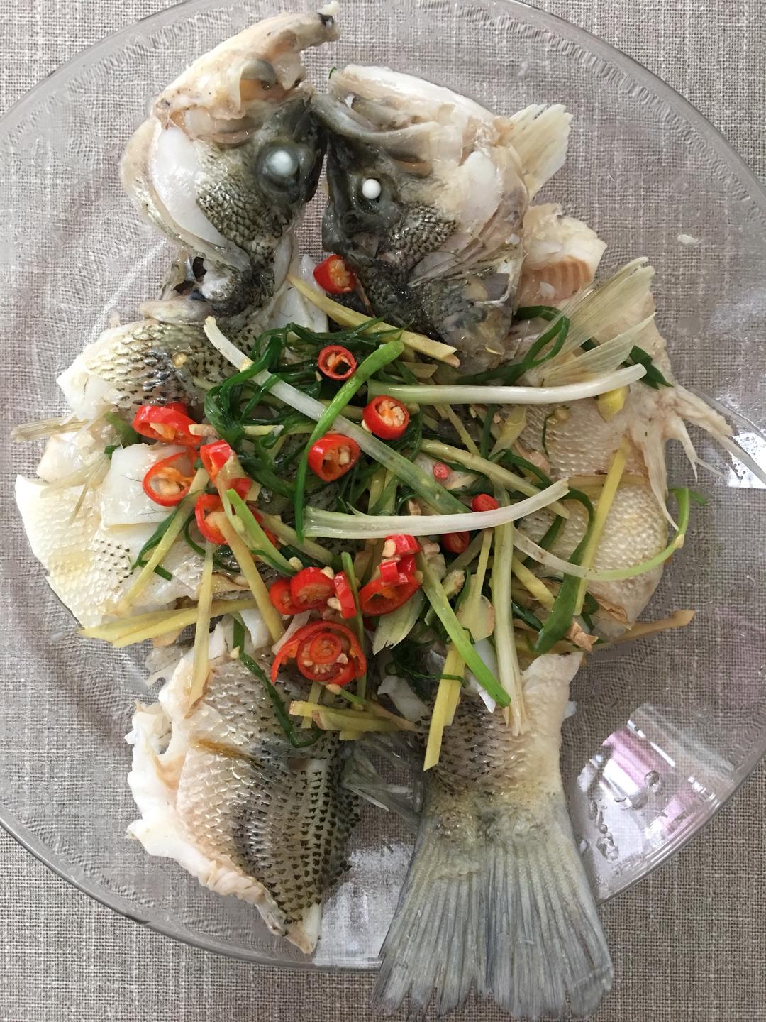 清蒸黄瓜鱼🐟