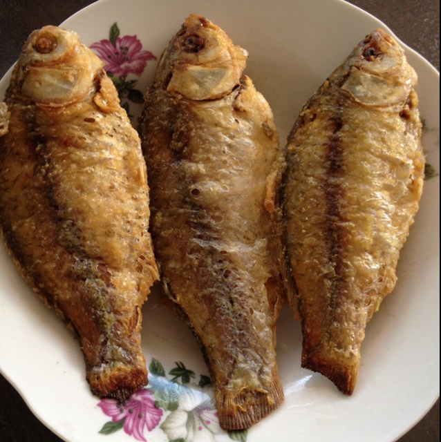 筱--xue做的香酥干炸鱼