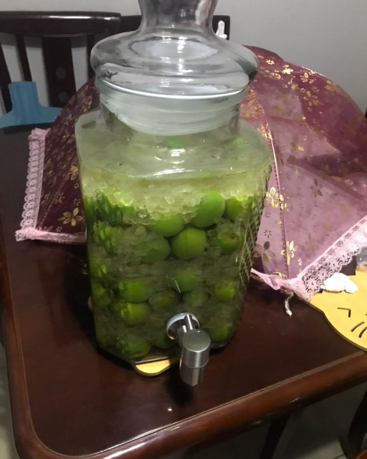 自酿超好喝的青梅酒/梅子酒