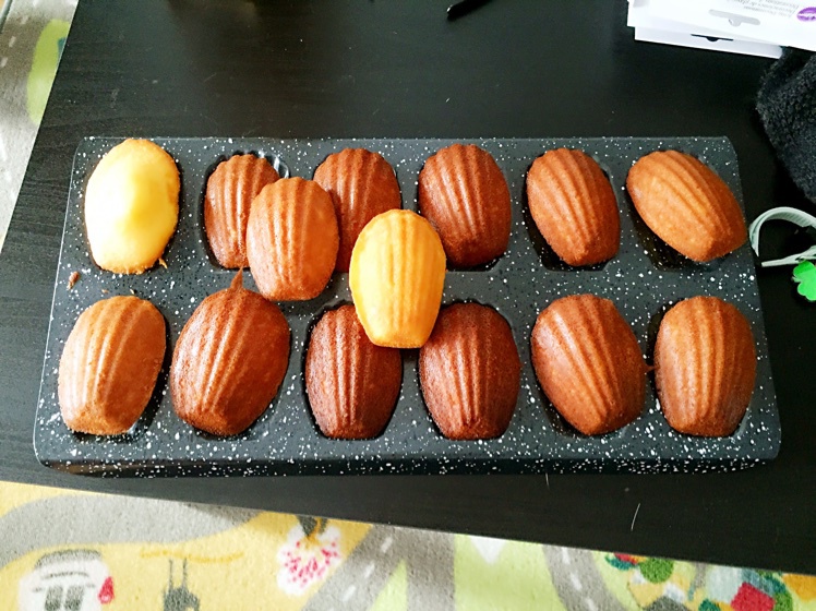 玛德琳（蓝带方）