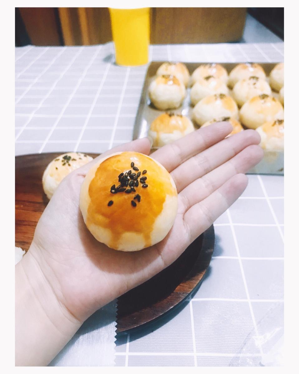 杂食
