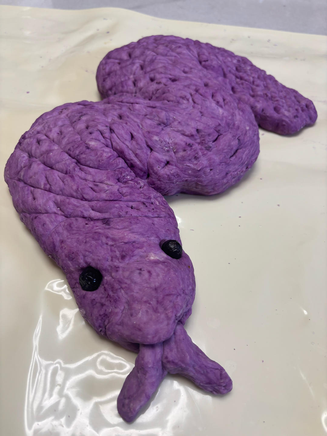 🐍年做条大🐍吧