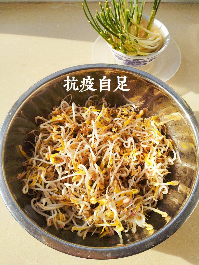 自己发豆芽也很简单！