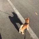 旭先生xy