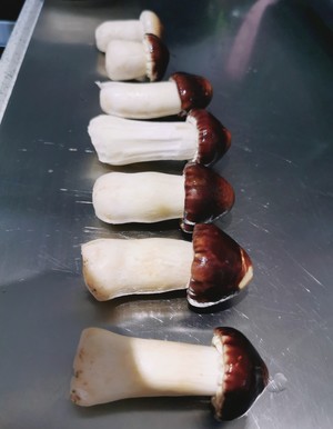 鲜嫩松茸烤箱版