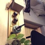 手机用户4136_y29f