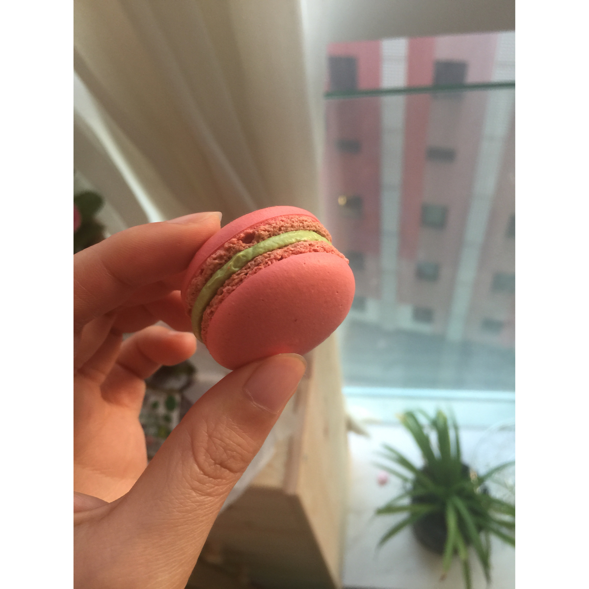 时光流逝，见证成长