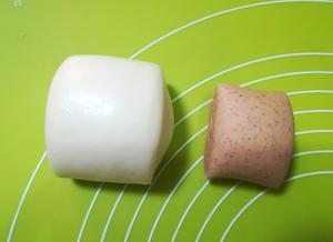 枣香牛奶刀切馒头（一次发酵）的做法 步骤9